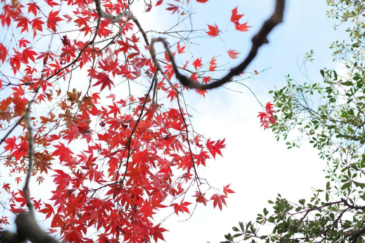 Ryokan Tanoya Kyoto Bagian luar foto